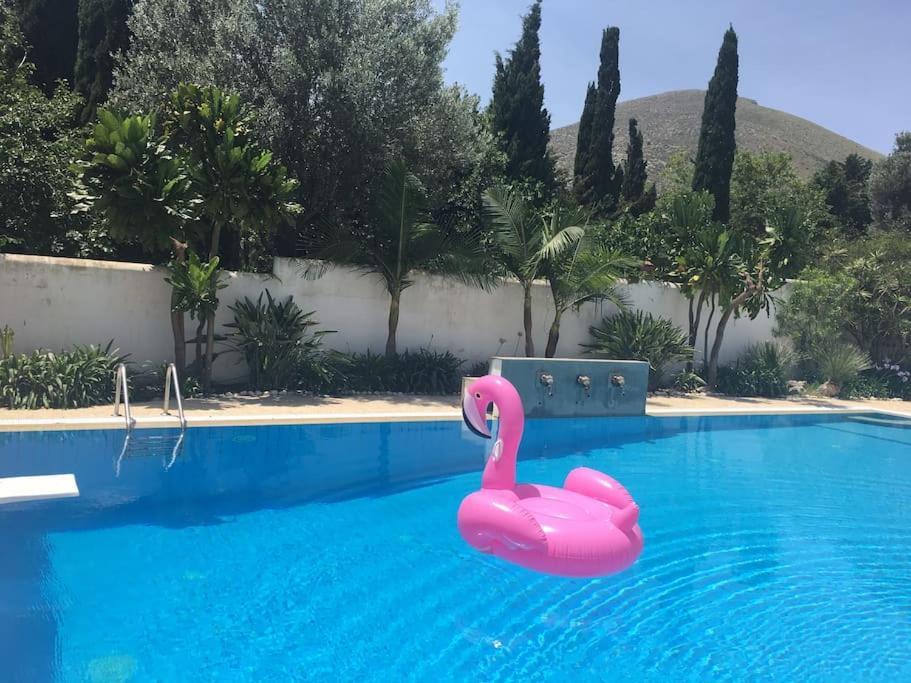 Villa Elloise Palermo Exteriér fotografie