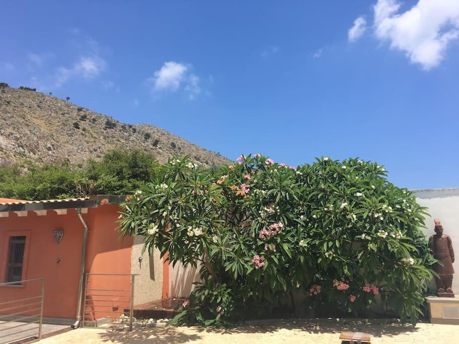 Villa Elloise Palermo Exteriér fotografie